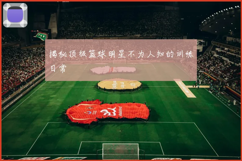 揭秘顶级篮球明星不为人知的训练日常